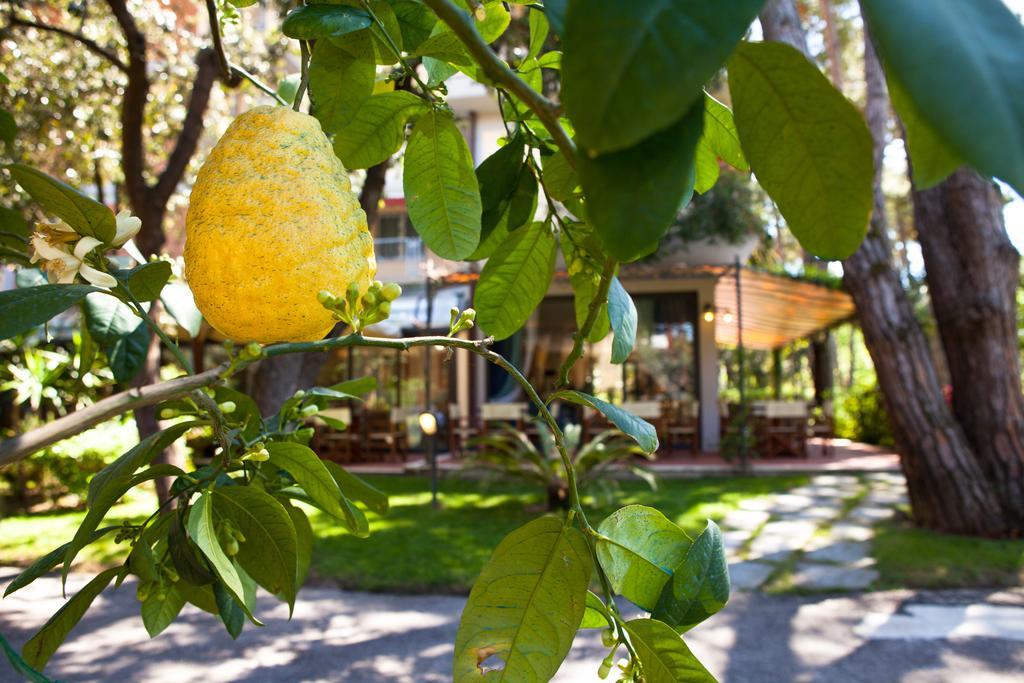 Hotel Andreaneri マリーナ・ディ・ピエトラサンタ エクステリア 写真